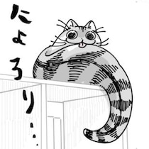 【ネコ漫画】大蛇のような愛猫の姿に驚愕する飼い主!?「笑ってしまいましたｗ」などの共感コメントがSNSで多数