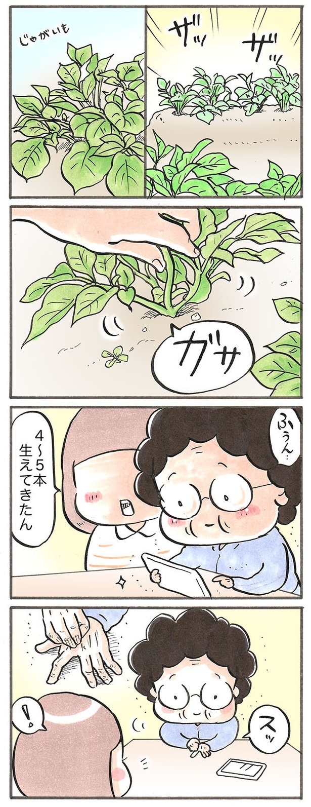 畑に植えたジャガイモが、大きく育ち始めたら？