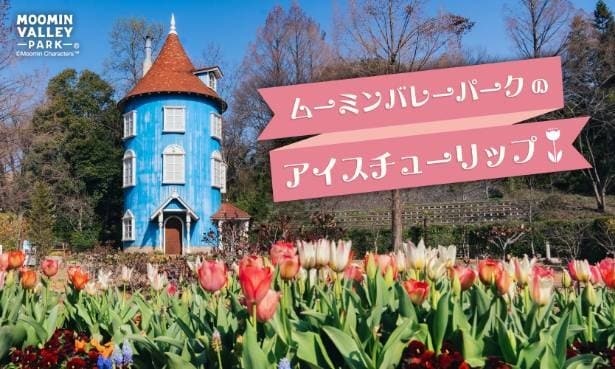 「パープルプリンス」や「イル・デ・アムール」、「レッドインプレッション」など赤やピンク色をメインとした多様なチューリップが彩りの空間を創り出す