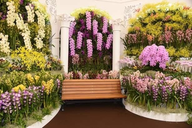 美しい蘭の花で飾られた「オーキッド・パレス」