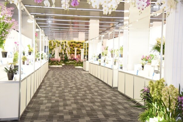 企画展示やコンテスト出品作品など、見どころは盛りだくさん！圧倒されるスケールだ