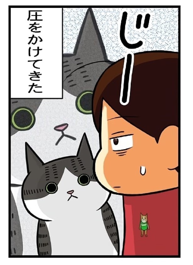 まずは「圧」をかけてきた。しかも「圧」強め…