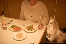 「bills お台場」限定！ペットと楽しむ「バレンタインコース」が2月28日まで登場