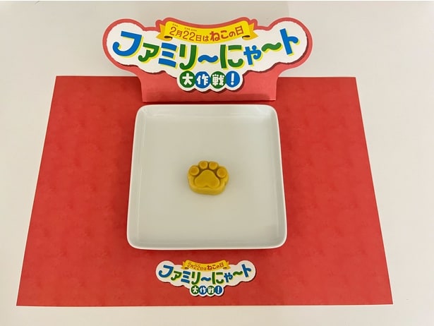 肉球すいーとぽてとは触り心地がとても印象的だった！