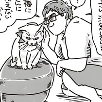 【ネコ漫画】「見とるけぇの～！」新入り猫に嫉妬する先住猫の視線が痛い…“ママ”争奪戦にパパの視線も痛い…【作者に聞く】