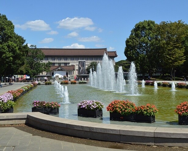 【上野観光】名画から歴史的建造物まで!ル・コルビュジエ設計の美術館や東照宮へ。上野恩賜公園をのんびり歩く“大人の芸術散歩”のススメ