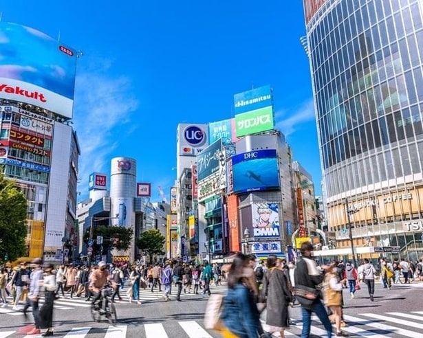 JR原宿駅 〜 明治神宮(原宿口) 〜 東急プラザ表参道「オモカド」 〜 表参道ヒルズ 〜 渋谷川沿いの散策ルート(キャットストリート) 〜 MIYASHITA PARK 〜 渋谷スクランブルスクエア 〜 SHIBUYA SKYをめぐる!ファッションの街・原宿〜表参道〜渋谷コース