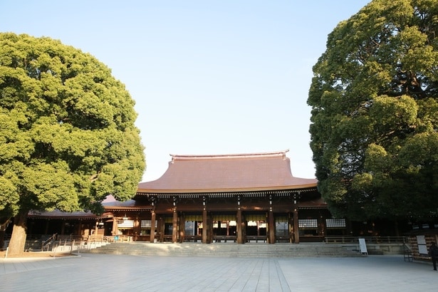 「明治神宮」緑に囲まれ、豊かな自然のなかに建つ社殿