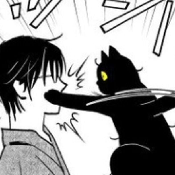 うちの猫はなつかない!?