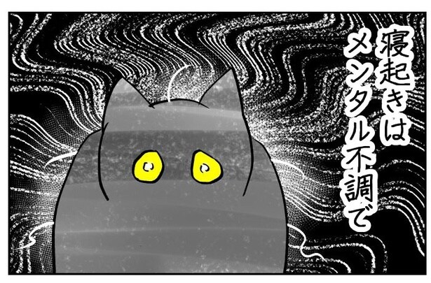 吸いすぎておかしい猫02