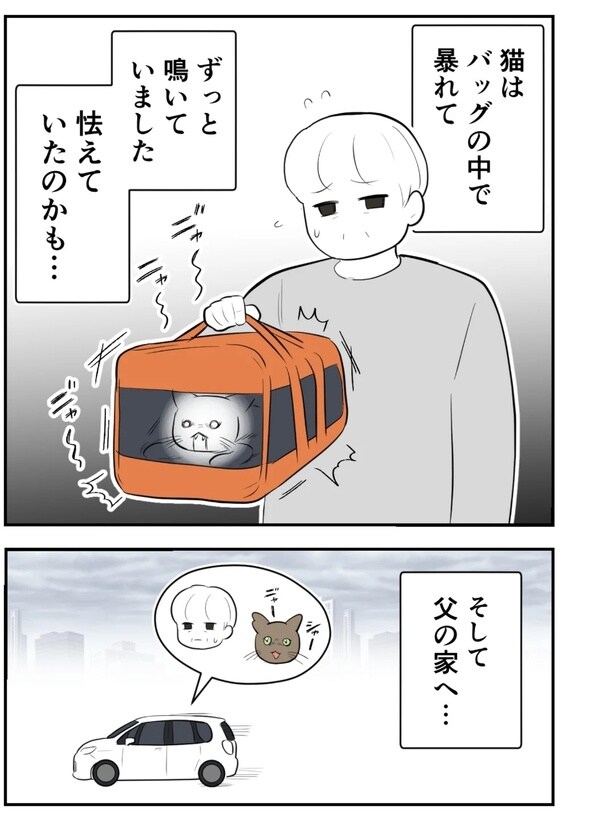 『飼い主をなくした猫と父』20