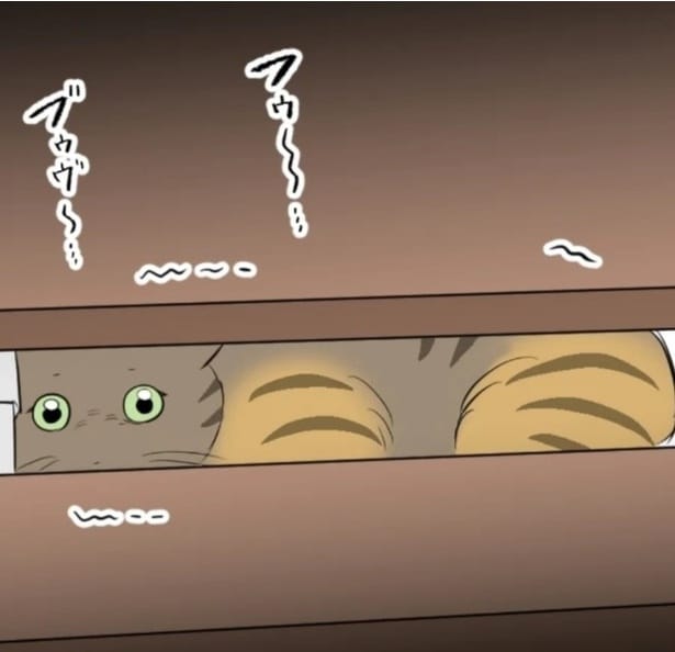 「飼い主を亡くした猫!?」保健所に連れていかれるところを保護し、格闘する日々「幸せになるんだよ！」愛猫家からのコメント届く【インタビュー】