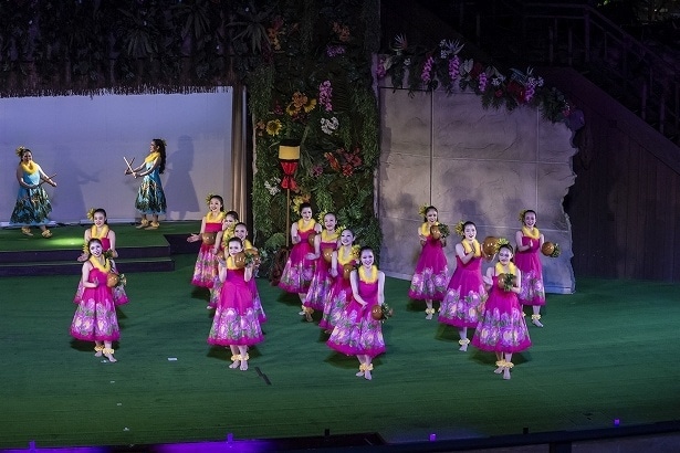 華麗な衣装も見もの