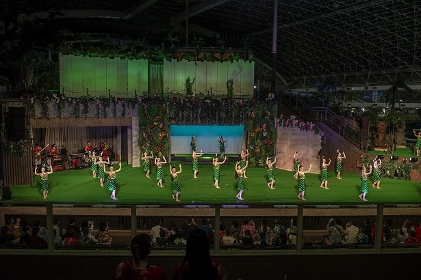 華やかなフラに観客は釘付け