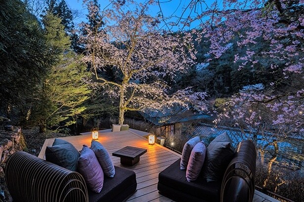 【写真】夜桜を眺める花桜テラス