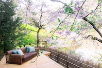 【星野リゾート】平安貴族が興じた奥嵐山で桜を愛でる。一日一組限定の滞在プログラム「奥嵐山の花見滞在」提供スタート