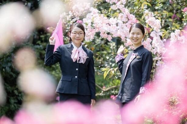 【写真】満開の桜に囲まれて案内役を務める界のスタッフ。オープンバスツアーでは、伊豆の春景色を360度で楽しみながら、桜の見どころや地域の魅力をガイドする