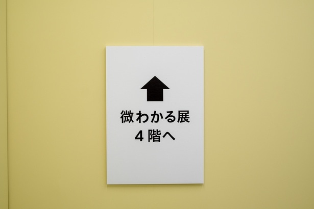 同じチケットで上のフロアの「微わかる展」も楽しめる