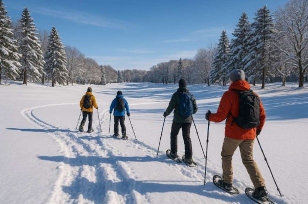 一面の白に包まれた静かなフィールドには、足音と雪を踏みしめる感触だけが響く
