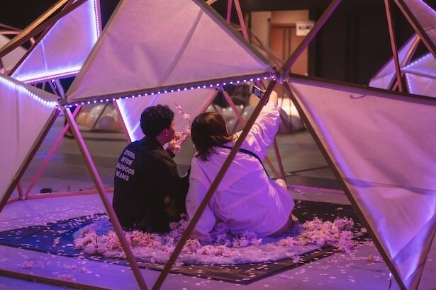 フォトスポットイメージ