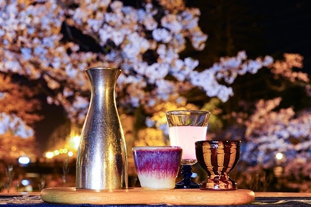 「夜桜日本酒BAR」イメージ
