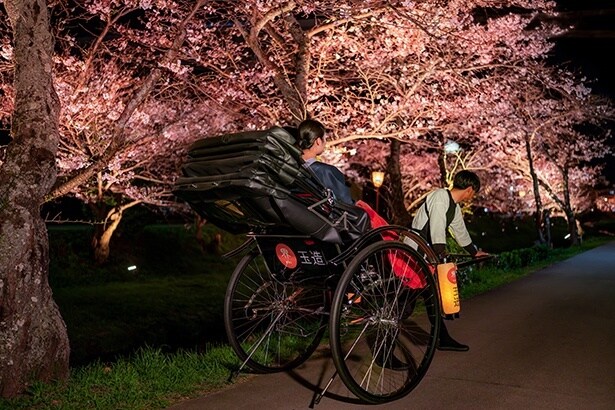 人力車の体験イメージ