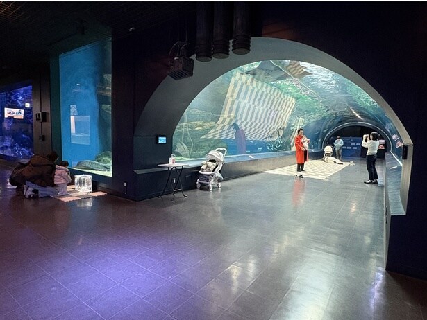 プレイマットが敷かれた施設内の様子