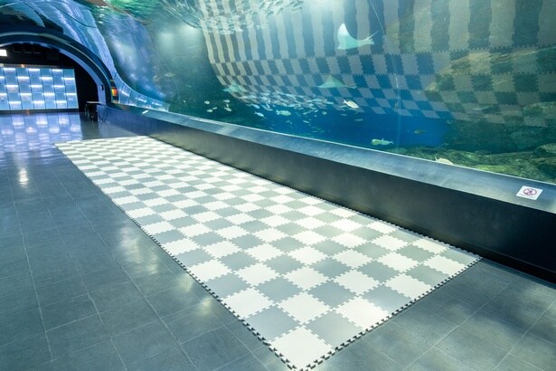 プレイマットを敷き、床に座ったり膝をついて水槽展示を楽しめる工夫が施された