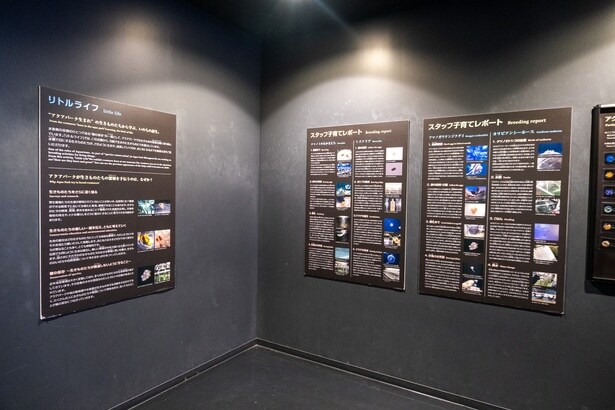 スタッフによる、生きものたちの子育てレポートなども詳しく紹介されている