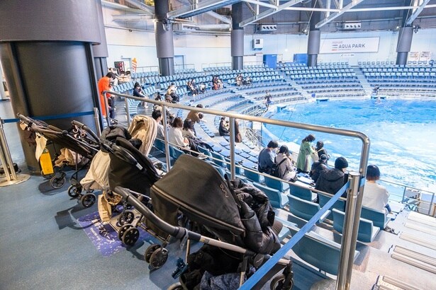 ベビーカーの置き場にも困ることなく、安心してショーが観覧できる