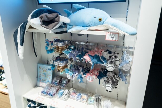 マクセル アクアパーク品川のオリジナルグッズもゲットしよう！