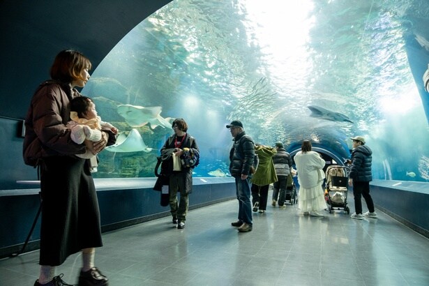 通常オープン時間になっても、外に出ずそのまま楽しめるのもポイント。いつもよりゆったり、たっぷり楽しめる