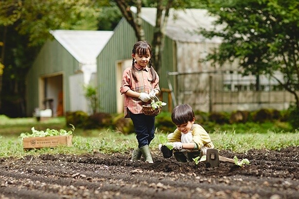 ファーマーズレッスン(定植イメージ)