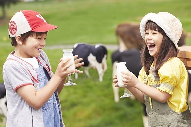 個体別牛乳の飲み比べ