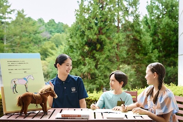 馬についての事前学習