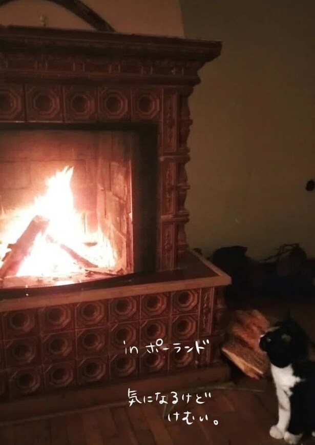 日本の冬とポーランドの冬の違い03