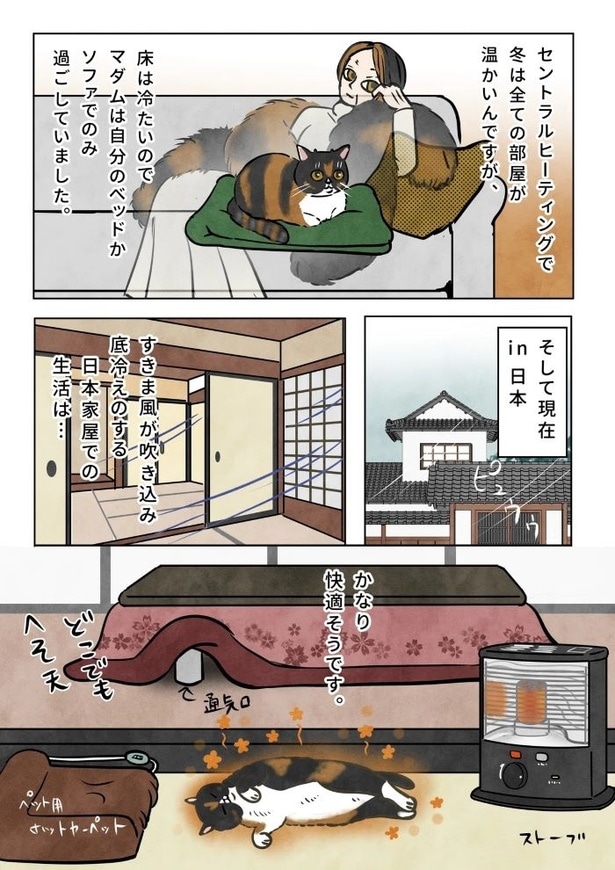 日本の冬とポーランドの冬の違い02