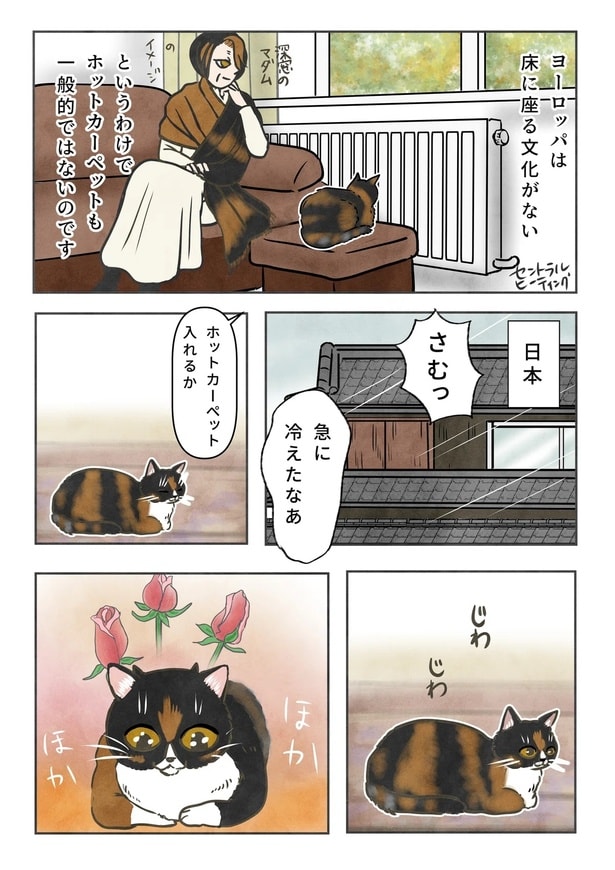 マダムリリー、ホットカーペット初体験01