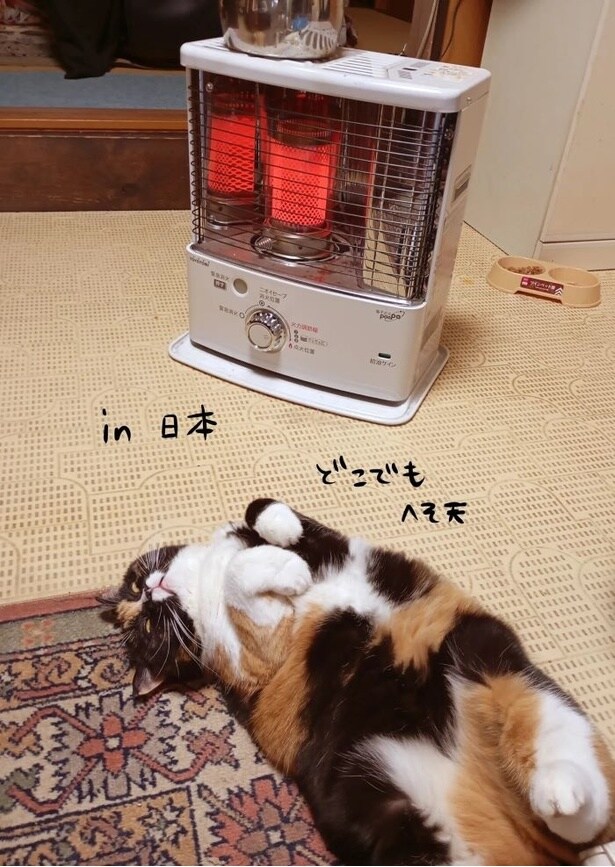 日本の冬とポーランドの冬の違い04