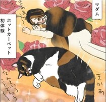 ポーランドから引っ越してきたヨーロピアン猫!?コタツやホットカーペットの魔力を知り、華麗なるへそ天を披露！【作者に聞く】