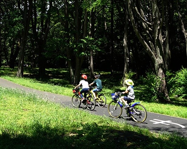 明治神宮外苑 〜 国立競技場 〜 ワタリウム美術館 〜 表参道ヒルズ 〜 東急プラザ表参道「オモカド」 〜 明治神宮 〜 代々木公園 〜 SHIBUYA SKYをめぐる新宿・渋谷の自然と街の散策コース