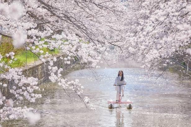 【写真】水上自転車に乗りながら花見