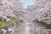 【星野リゾート】桜のトンネルを水上自転車でサイクリング⁉BEB5土浦で“ひと味違う”お花見体験を期間限定で開催