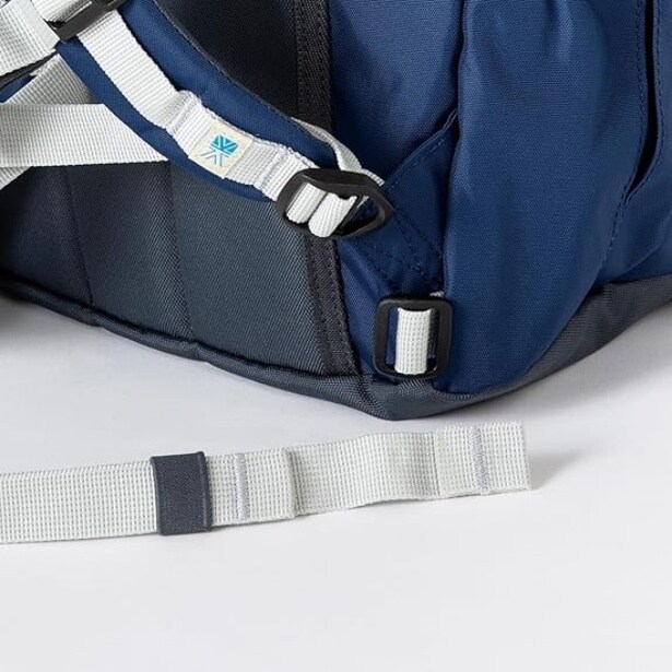 61TsyHbvxjL._AC_SY500_