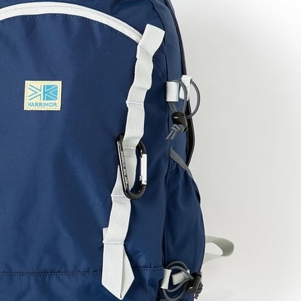 71ufY9Y9xEL._AC_SX500_