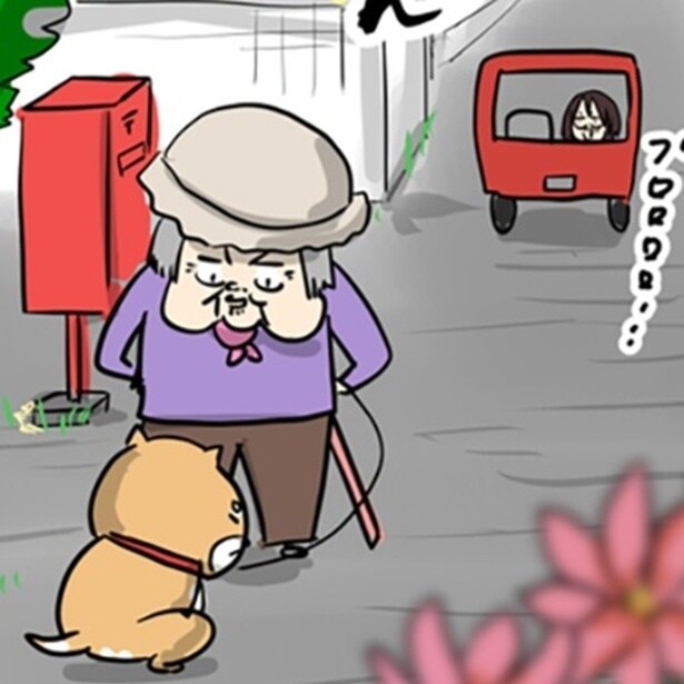 【実話】散歩に出ても微動だにしない柴犬→高齢の飼い主が「付き合わされる」しかない過酷な現実【作者に聞く】