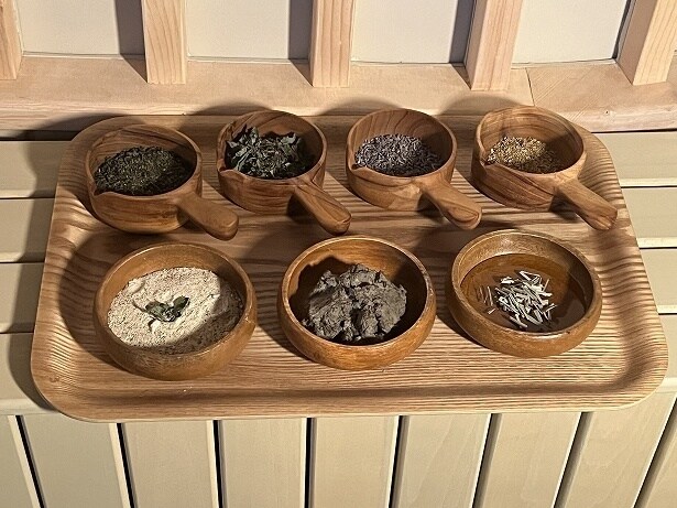 リトリートを通して植物の力を体感できる