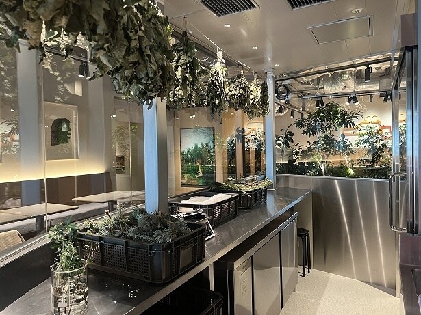 ロビーにはアロマラボがあり、中にはたくさんの植物が置かれている