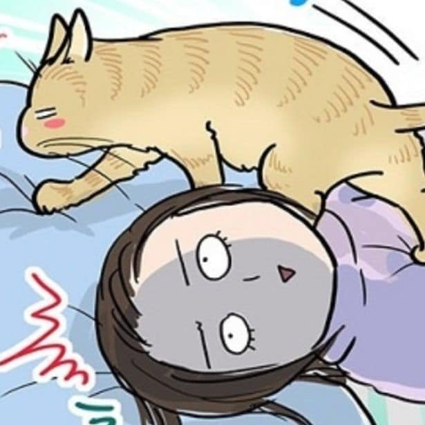 【ねこ漫画】やめて…顔面に猫の尻!?飼い主を起こすための猫たちの奮闘が「かわいすぎる」と話題【作者に訊く】