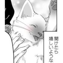 【ネコ漫画】鳴く！泣く！泣き叫ぶ子猫!!猫の気持ちをいつか聞いてみたい…飼い主共感の感動の物語【作者インタビュー】